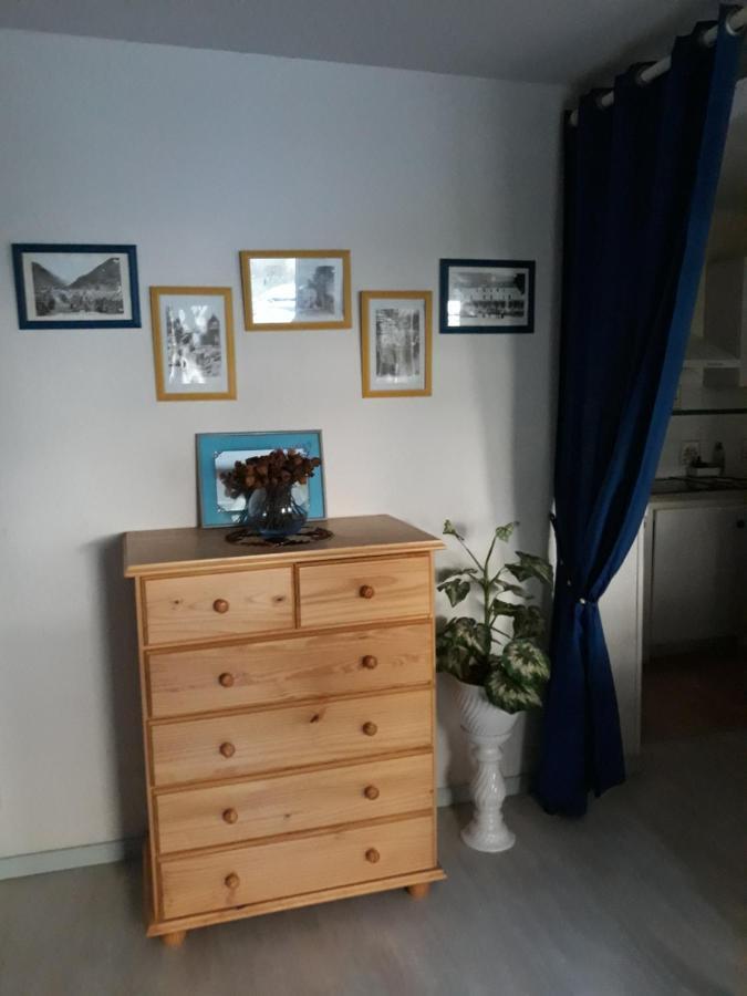 T2 Residence De L'Ars Aulus Les Bains Eksteriør billede